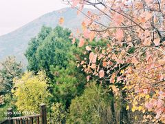 -北京十三陵国家森林公园蟒山景区