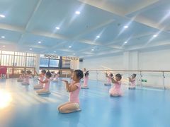 -西安小天鹅艺术团(曲江Alice店)