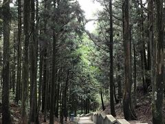 -井冈山风景名胜区-黄洋界
