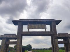 -中华茉莉园