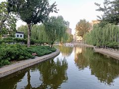 -团结湖公园