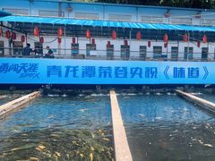 -青龙潭鱼庄