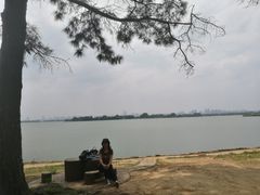 -东湖落雁景区
