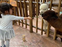 -杭州开元森泊度假乐园