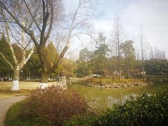 -瀛洲公园