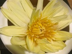 莲花清鸡汤(大份)-甄御•海鲜新青岛菜(麦岛店)