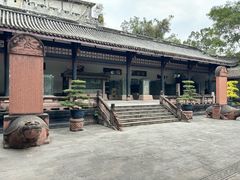 -桂湖森林公园