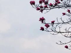 -九皇山景区