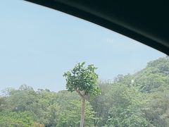 -惠州西湖丰渚园
