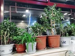 -伊隆斋(什刹海店)