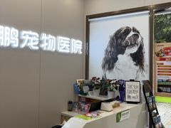 -瑞鹏宠物医院·微创内窥镜·骨外科·牙科(翠竹分院)