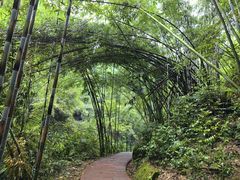 -四洞沟景区