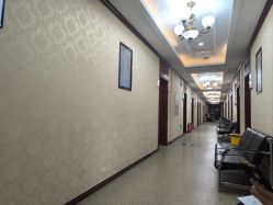 -南京医科大学友谊整形外科医院