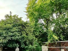 -郑州银基黄帝宫御温泉