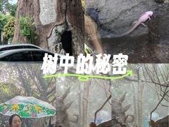 -青青世界