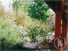 -中国中医科学院望京医院(院本部)