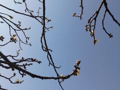 -无锡梅园公园