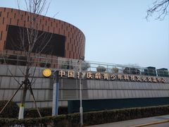 -中国宋庆龄青少年科技文化交流中心