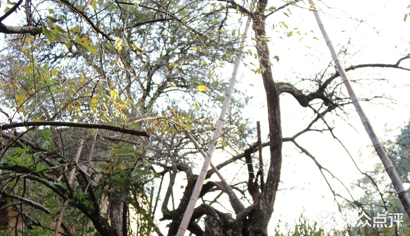 游:天台国清寺