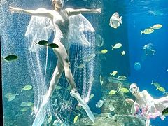 -海合安武汉极地海洋公园