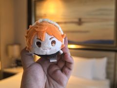 -长沙富力万达文华酒店