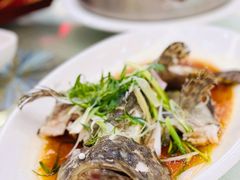 清蒸深海石斑-百乐门喜宴(海珠广场华厦店)