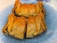 江南熟醉大闸蟹-姑苏家宴·苏帮菜·松鼠桂鱼(苏州总店)