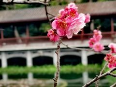 -成都市文化公园