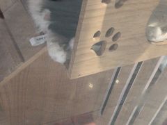 -犇牛记·鲜牛肉火锅