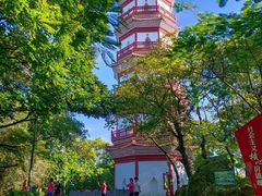 -分塔山省级森林公园
