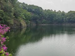 -王借岗森林公园