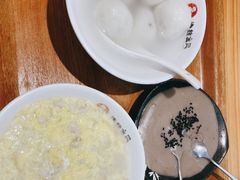 -海丝金凤(金鱼店)