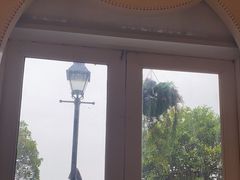 -金悦轩海鲜城(渔人码头店)