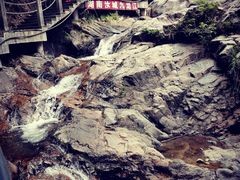 -九龙江国家森林公园