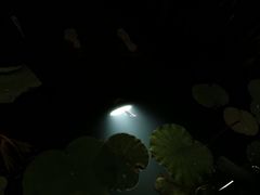 -映月湖公园