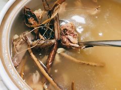 五指毛桃鸡骨汤-阳山好鸡汇原生态食材·农家菜(松岗店)