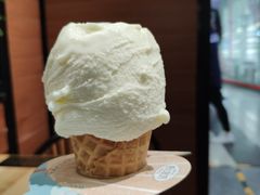 -野人先生现做冰淇淋(北京顺义祥云小镇店)