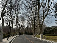 -棒棰岛宾馆景区