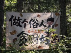 -汤旺河林海奇石景区