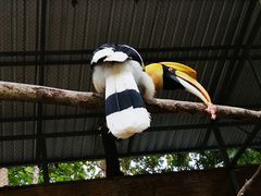 -清迈夜间动物园