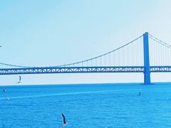 -星海湾跨海大桥