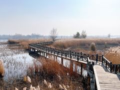 -野鸭湖国家湿地公园