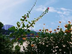 -聚汇三少·龙虾·中餐厅(莫邪路新天地店)