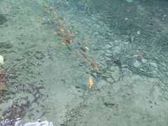 -雁荡山风景名胜区-小龙湫