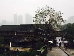 -运河游船(武林门码头)