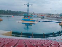 -秦皇岛乐岛海洋王国