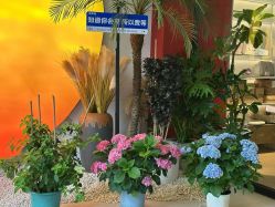 -阅年轻·AI家庭健康体质调理