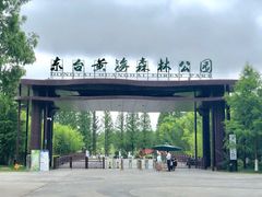 -黄海国家森林公园