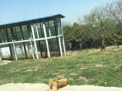 -西安秦岭野生动物园