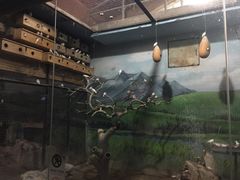 -北京动物园
